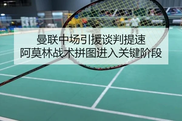 曼联中场引援谈判提速 阿莫林战术拼图进入关键阶段